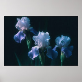 Blå Iris Blommig Väggkonst Poster