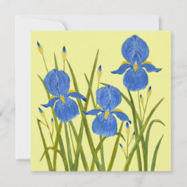 Blå Iris Blommor Platt Kort