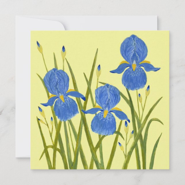 Blå Iris Blommor Platt Kort (Framsida)