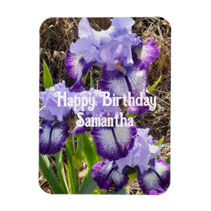 Blå iris Irises Blommblommor Blommigt Födelsedag Magnet