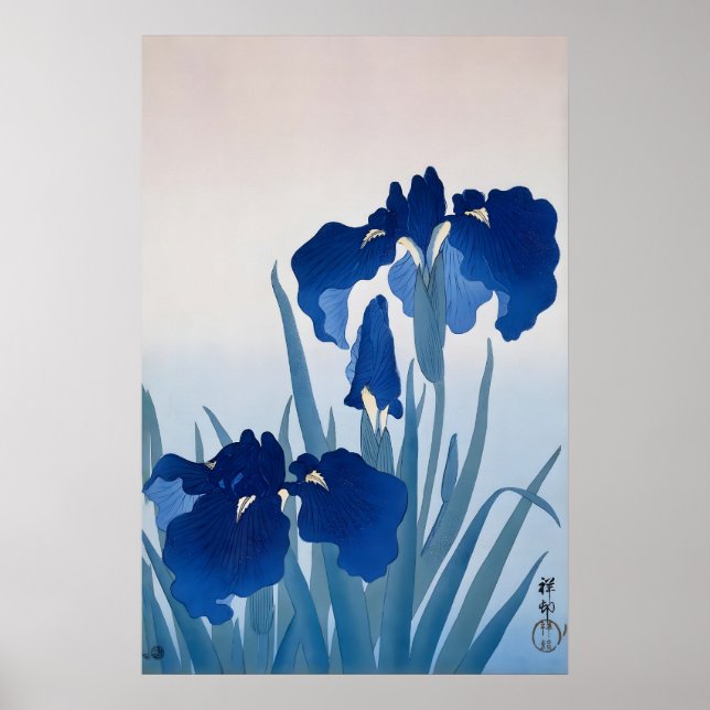 Blå Iris Japansk Finkonsttryck  Blommig Vägg Poster (Framsidan)