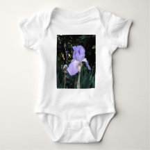 Blå Iris