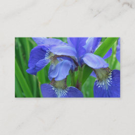 blå irisblommor visitkort