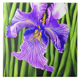 Blå irisdekorativa keramiska plattor kakelplatta