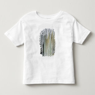 Blå is och grundvattenavrinning; Tahquamenon T Shirt