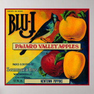 Blå-j Apple låda LabelWatsonville, CA Poster