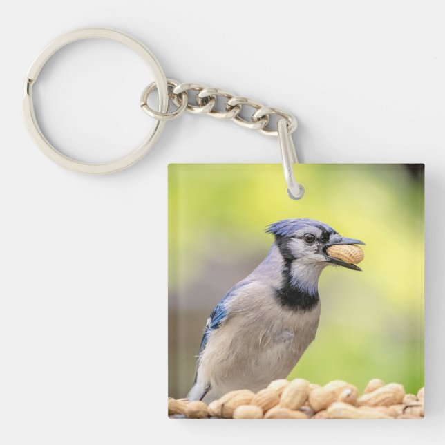 Blå jö med jordnöt (Framsidan)