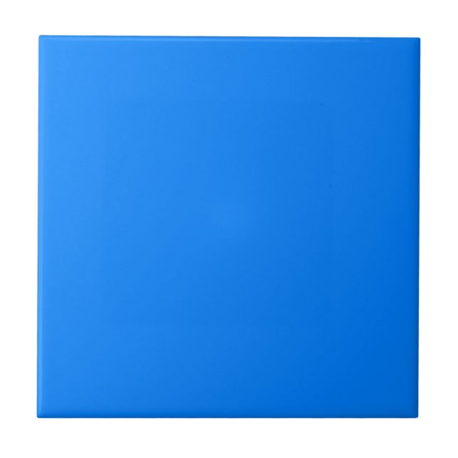 Blå Kakelplatta (Framsidan)