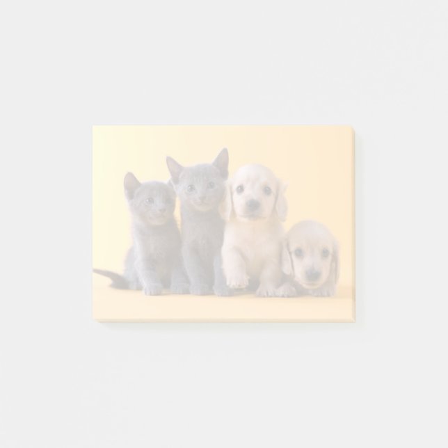 Blå kattungar och hundvalpar post-it block (Framsida)