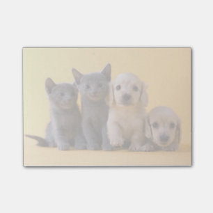 Blå kattungar och hundvalpar post-it block