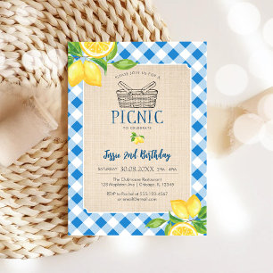 Blå klassisk picknick födelsedagsinbjudan inbjudningar