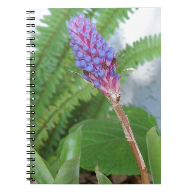 Blå kon bromeliadblomma anteckningsbok (Framsidan)