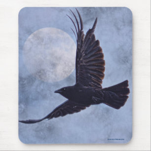 Blå konsthandling i Raven & Måne Musmatta