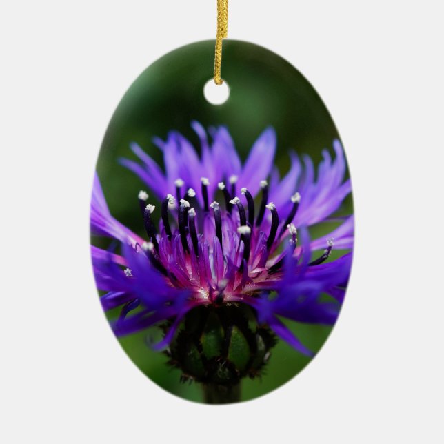 Blå Kornblomma Blommor Blommar Fred Kärlek Öde Julgransprydnad Keramik (Framsidan)