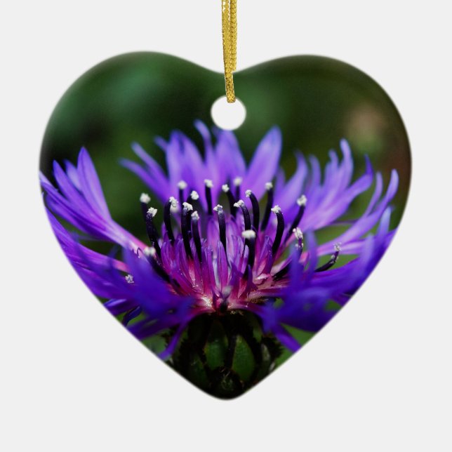 Blå Kornblomma Blommor Blommar Fred Kärlek Öde Julgransprydnad Keramik (Framsidan)