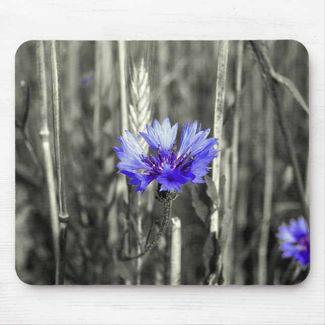 Blå kornblomma musmatta (Framsidan)
