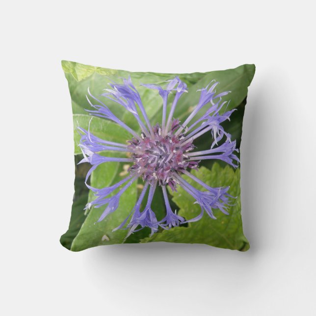 Blå kornblomma Pillow Kudde (Framsida)
