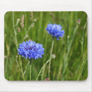 Blå kornblommor - design av ängsblommor musmatta