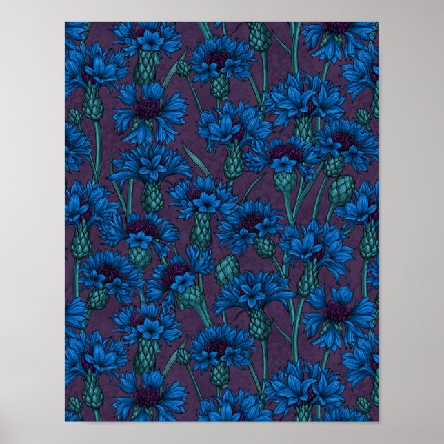 Blå kornblommor, vild blommor poster (Framsidan)