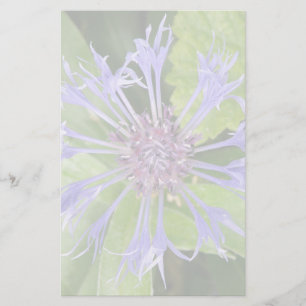 Blå kornblomsterpapper brevpapper