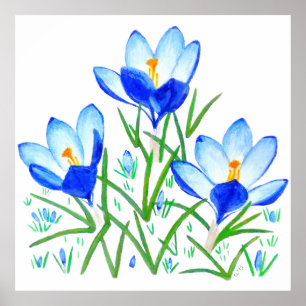 Blå krokusblommor tryck