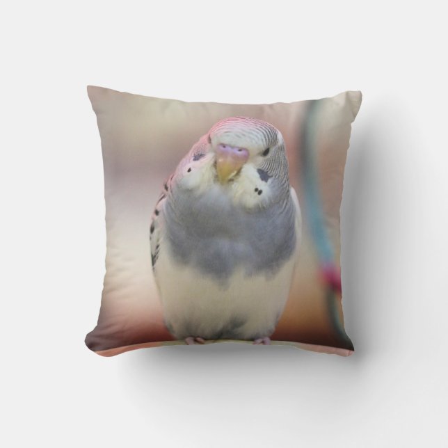 Blå Kudde (Framsida)