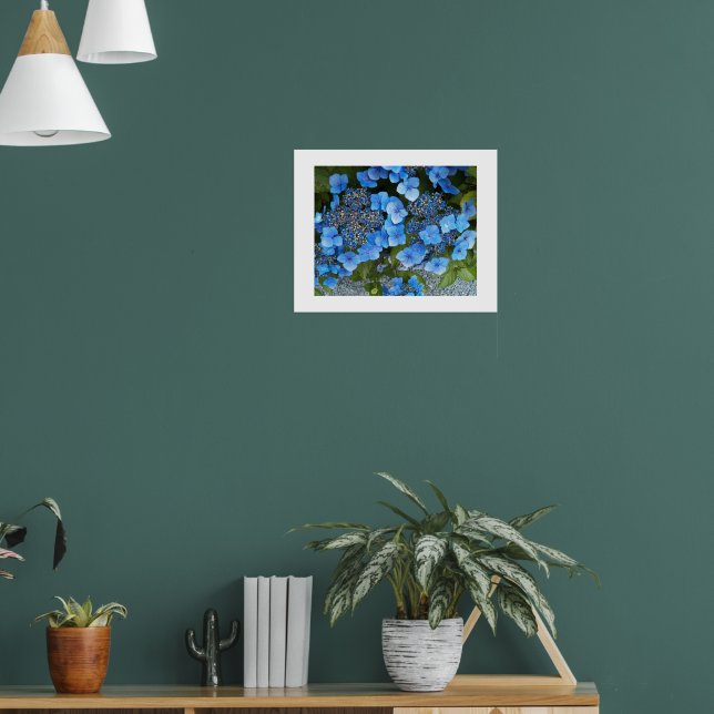 Blå lakecap Hydrangea-Blommigt Fotografi Poster (Vardagsrum 1)