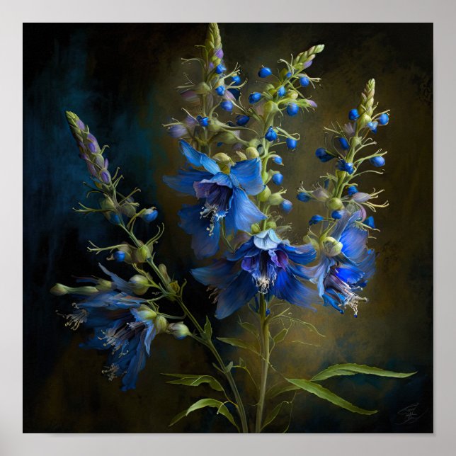 Blå larkspur - Poster färgreduktutskrift (Framsidan)