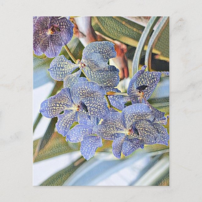 Blå lavander färgad orchid-blommor (Framsida)