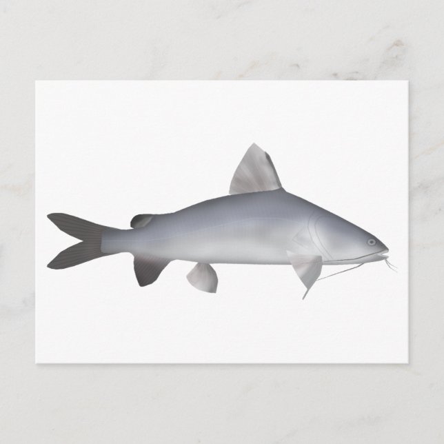 Blå laxfisk vykort (Framsida)