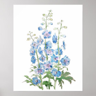 blå lila delphinium bläck och vattenfärg poster
