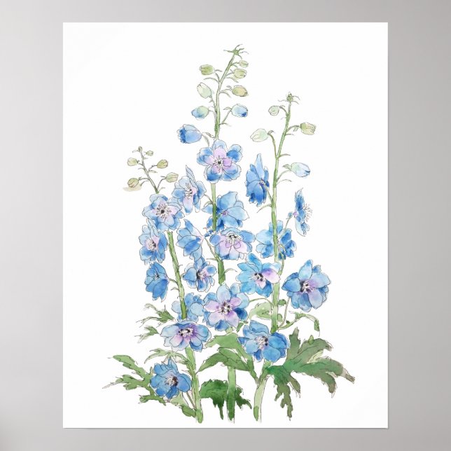 blå lila delphinium bläck och vattenfärg poster (Framsidan)