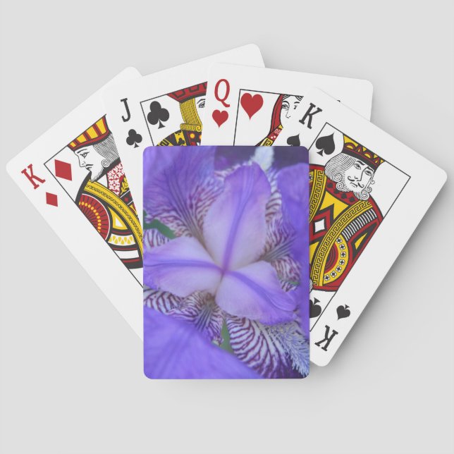 Blå Lila Iris Blomma Casinokort (Baksidan)