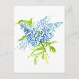 Blå Lilacs Vår Bouquet Watercolor Flowers Vykort