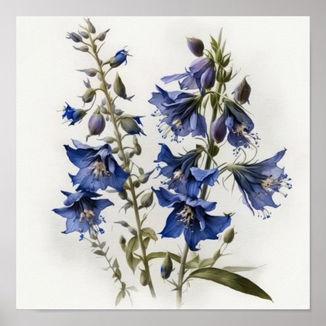 Blå Linnea Blomma Konsttryck Poster (Framsidan)