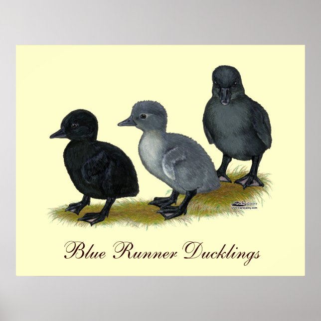 Blå Löpareanklingar Poster (Framsidan)
