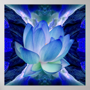 Blå lotus blomma poster