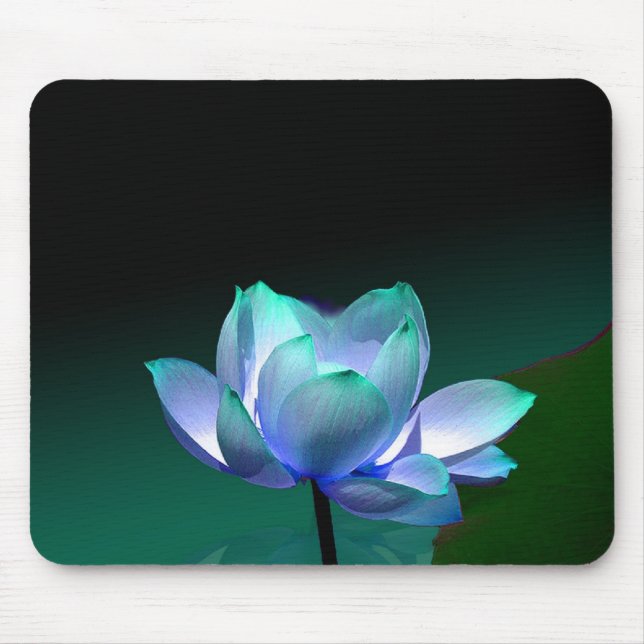 Blå lotus i full blom, musmatt musmatta (Framsidan)