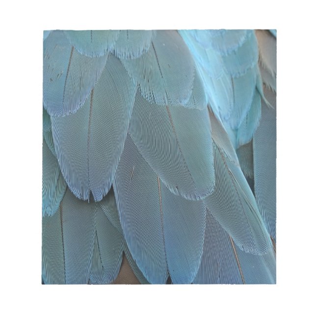 Blå ludd anteckningsblock (Framsida)