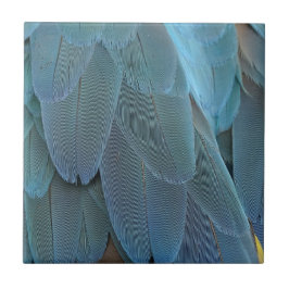 Blå ludd kakelplatta