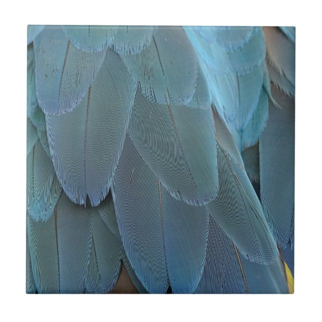 Blå ludd kakelplatta (Framsidan)