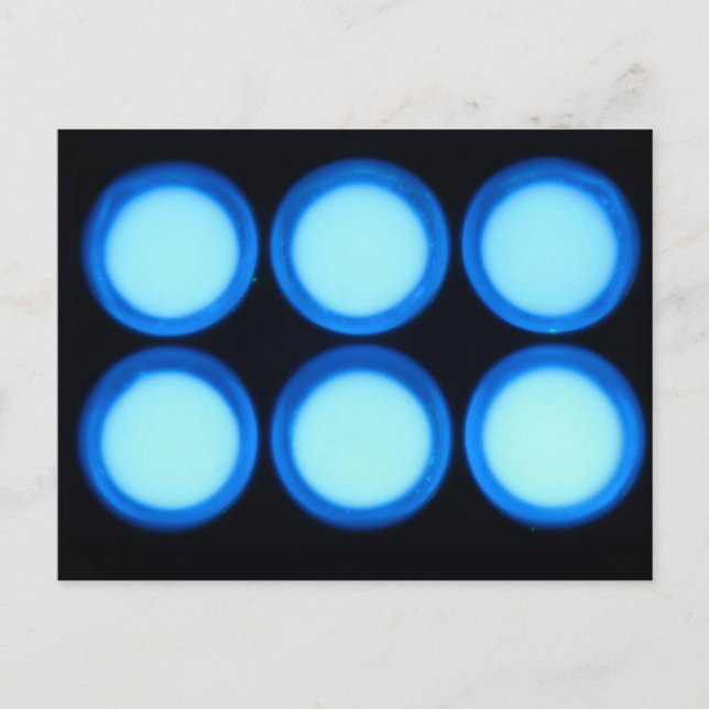 Blå luminescens vykort (Framsida)