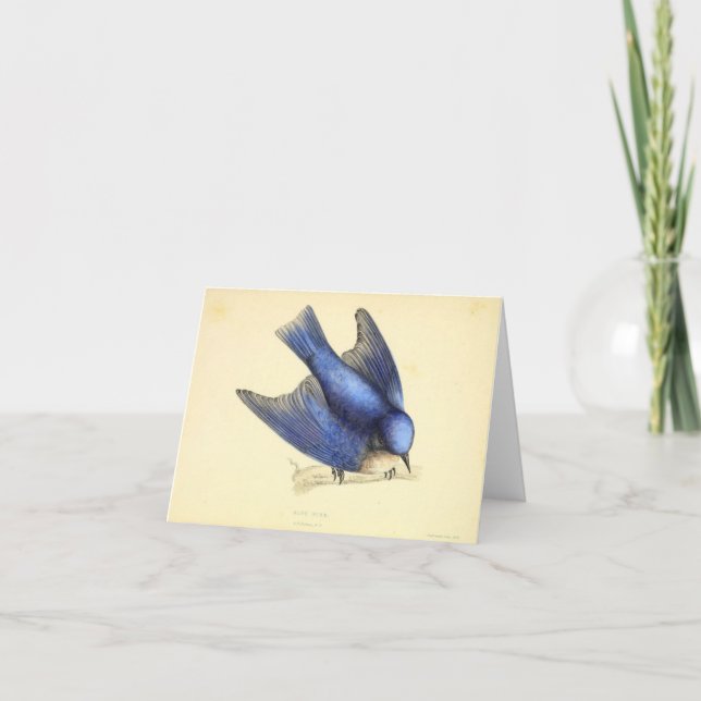 Blå lyckans födelse tack kort (Framsida)