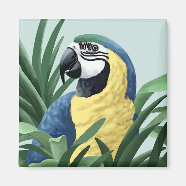 Blå Macaw Magnet (Framsidan)