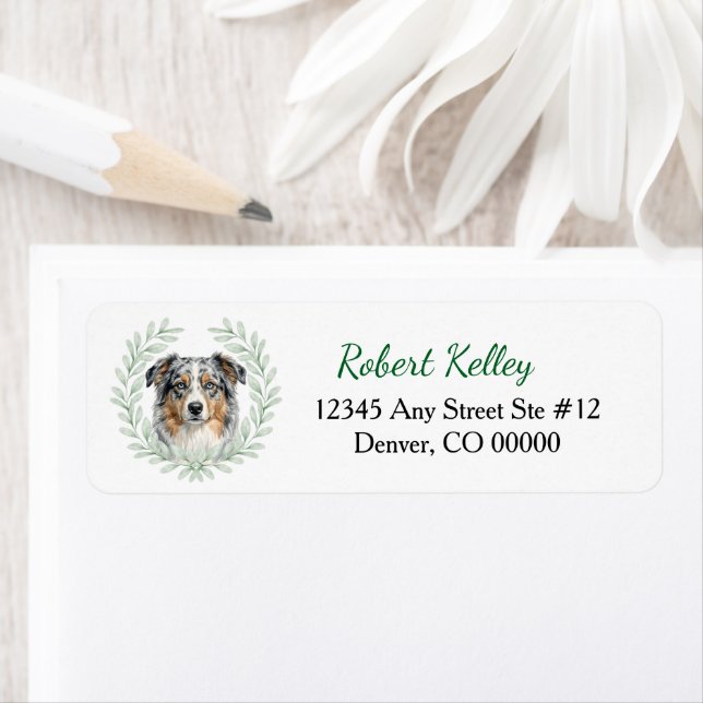 Blå Merle Australian Shepherd Bladkrans Returadress Etikett (Insitu)