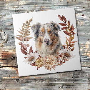 Blå Merle Australian shepherd Hund Höstkrans Kakelplatta
