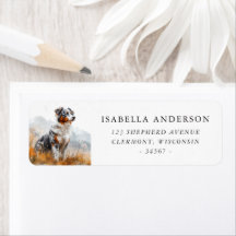 Blå Merle Australian Shepherd landskapsbild