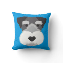 Blå Miniature Schnauzer