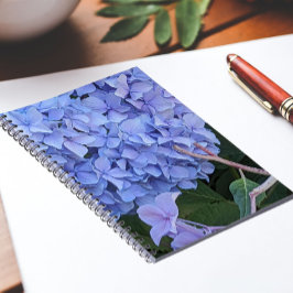 Blå Mophead Hortensia Blomma Blommig Anteckningsbok