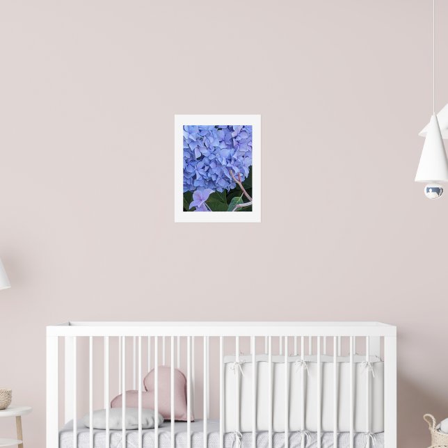 Blå Mophead Hortensia Blomma Blomster Poster (Barnkammare 2)